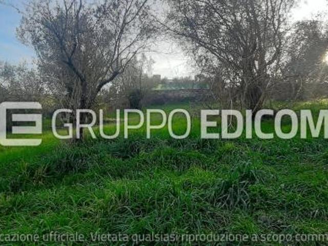 Lotto edificabile in vendita a Acquasparta Rif. 4545616