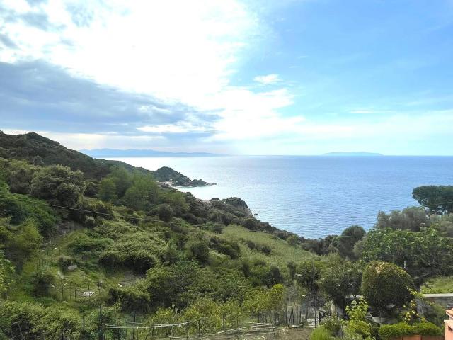 Lotto in vendita a Marciana, Patresi
