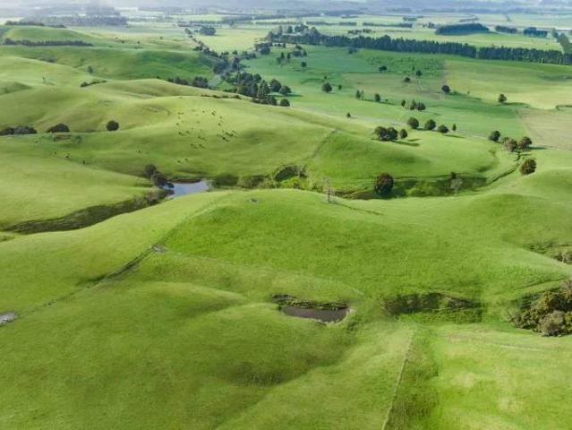 Lot 3 268 Graham Road, Dannevirke, Tararua For Sale