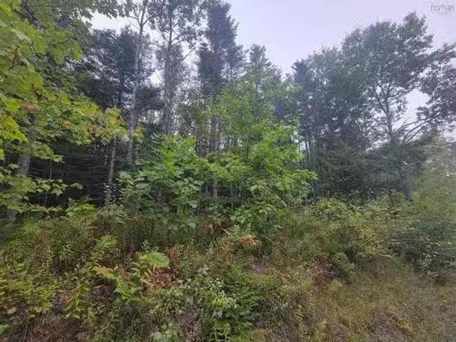 Lot 3 Wilson Drive, Upper Rawdon, NS, B0N 2N0 vacant land fo.