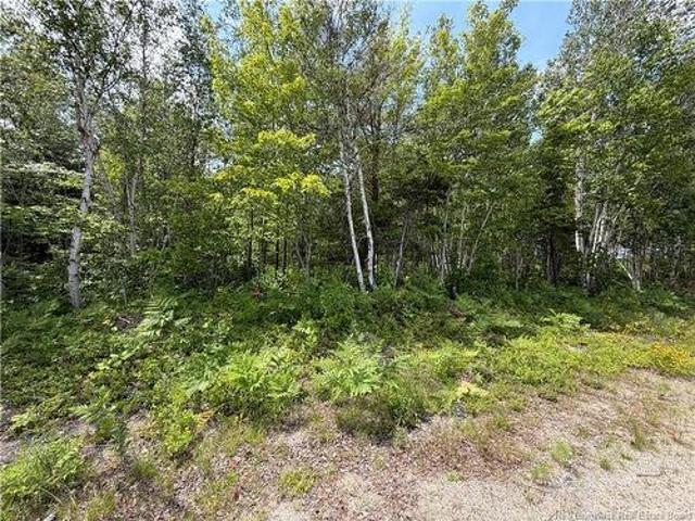 Lot 3 O'Keefe, Miramichi, NB, E1V 6J3 vacant land for sale | Listing ID NB143947 | Royal LePage