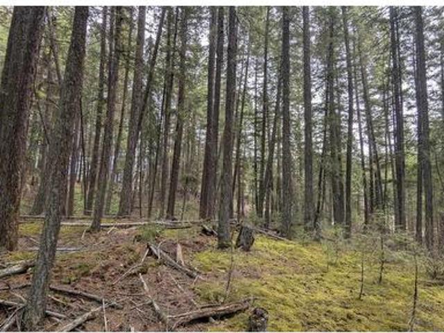 Lot 3 Summit Road, Canim Lake, BC, V0K 1J0 vacant land for sale | Listing ID R3106 | Royal LePage