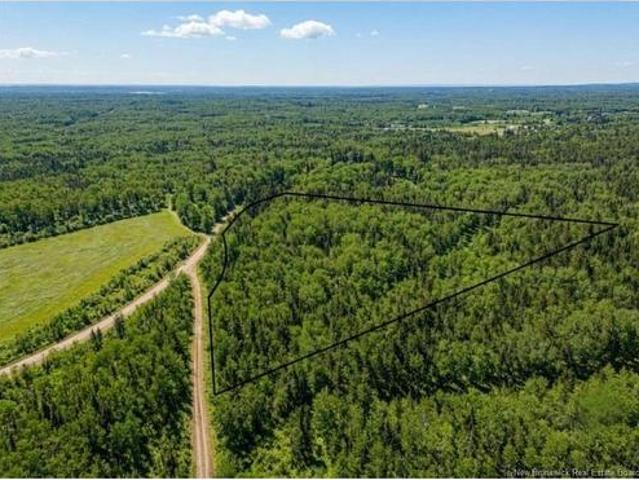 Lot 02 5 Renauds Mills Rd, Saint Antoine, NB, E4V 2X7 vacant land for sale | Listing ID NB135747 | Royal LePage