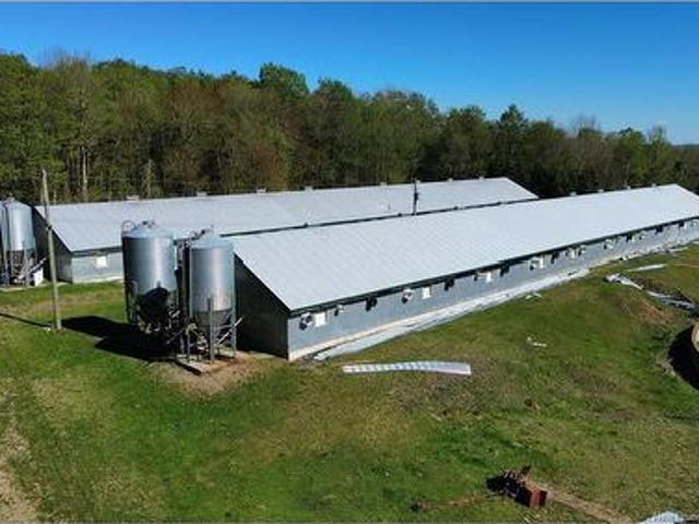 Lot 104 Rte, Carlisle, NB, E7P 1W8 farm for sale | Listing ID NB140421 | Royal LePage