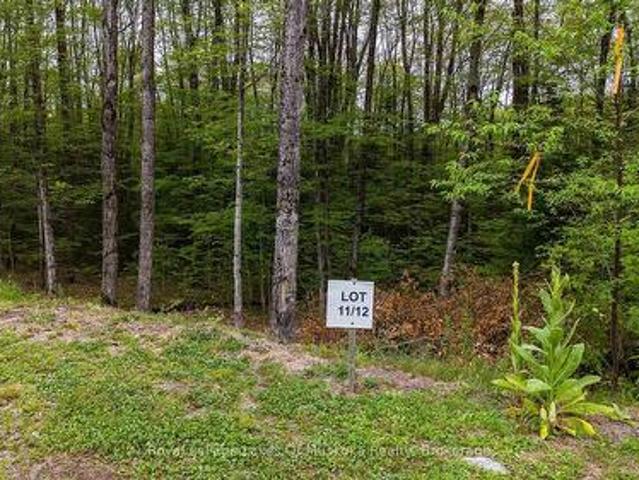 Lot 11 Millie'S Way, Armour, ON, P0A 1C0 vacant land for sale | Listing ID X13596 | Royal LePage