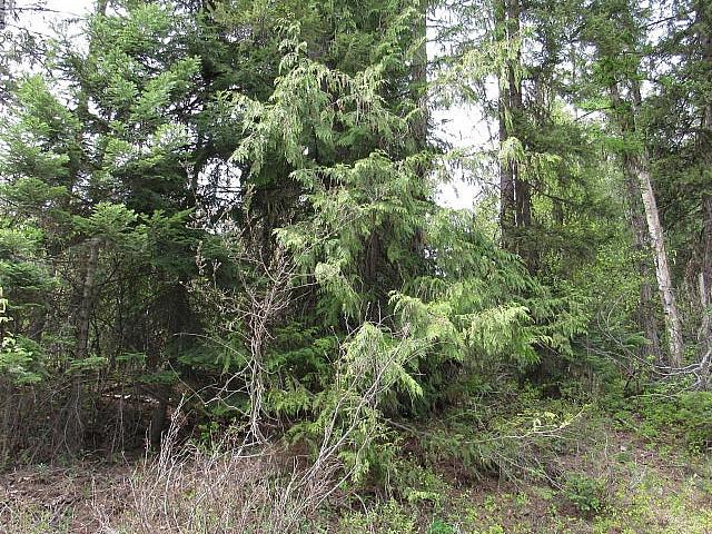 Lot 11 Nelson Rural 08182 128 Bonnington, British Columbia