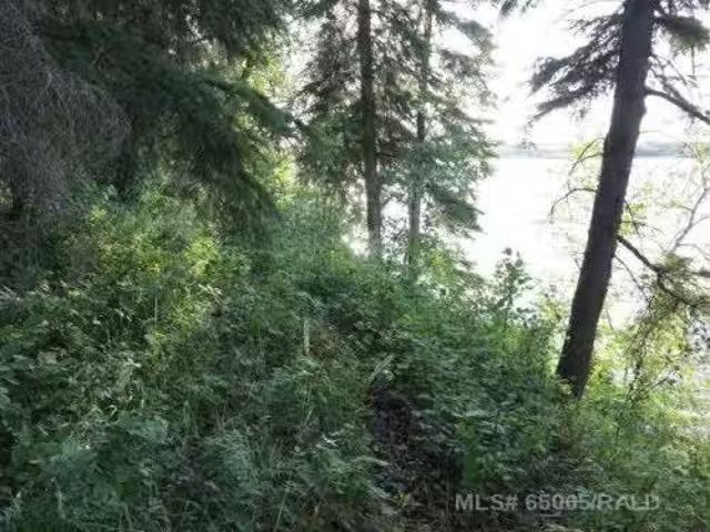 Lot 12 Blk 1 Lakeside Drive, Perch Lake, SK, S0M 2G0 vacant.