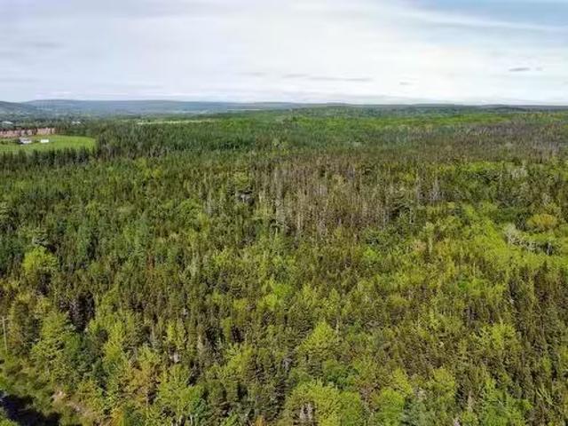 Lot 12 Highway 19, Southwest Mabou, NS, B0E 1X0 vacant land.