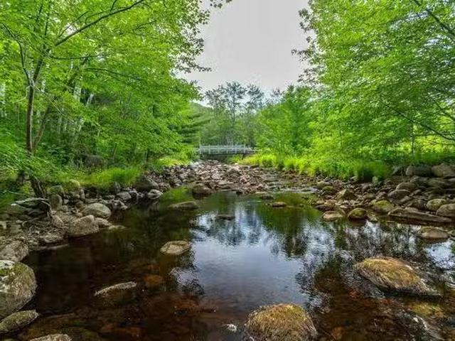 Lot 1438 River Road, Bear River, NS, B0S 1B0 vacant land for.