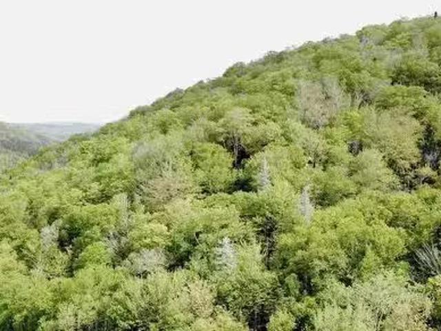 Lot 18 1 Glenora Falls Road, Glenora Falls, NS, B0E 1X0 vaca.