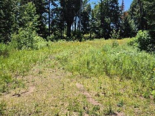 Lot 18 North Steenburg Lake Road, Wollaston, ON, K0L 1P0 vacant land for sale | Listing ID X13583 | Royal LePage