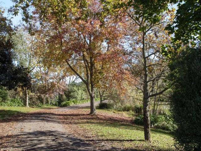 Lot 1 46 Keaney Road, Ararimu, Franklin