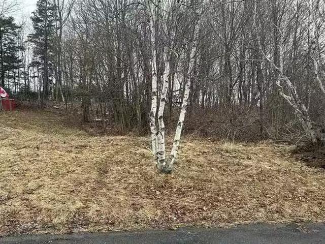 Lot 1 511 Birch Street, New Glasgow, NS, B2H 1Y2 vacant land.