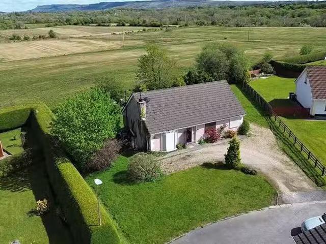 Lot 1 10 Rocorn