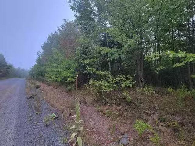 Lot 1 Wilson Road, Upper Rawdon, NS, B0N 2N0 vacant land for.