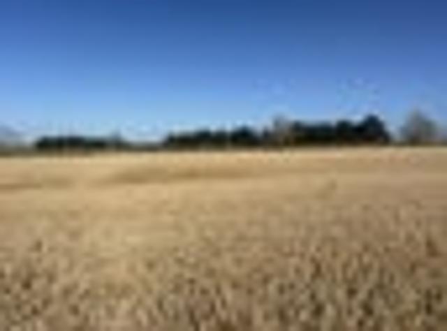 Lot 1 Adair Road