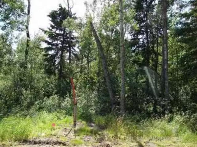 Lot 1 Blk 5 Lakeside Drive, Perch Lake, SK, S0M 2G0 vacant l.