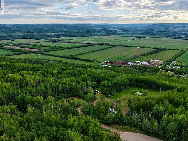 Lot 1 Kendrew Subdivision Pouce Coupe, British Columbia