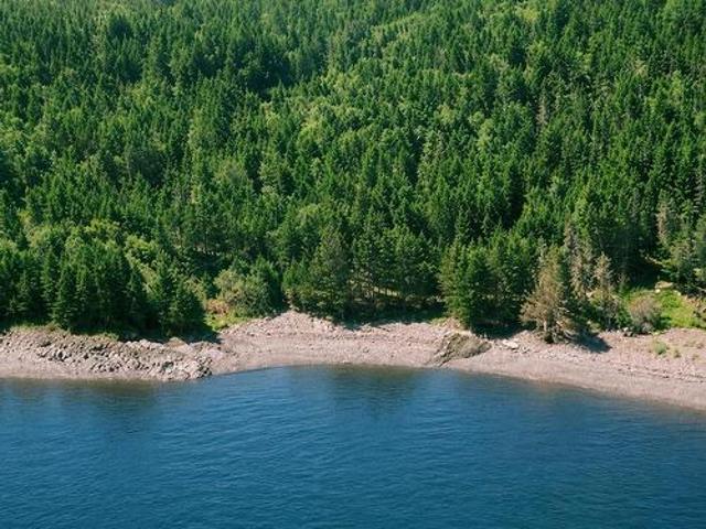Lot 1 Moshers Island, Mosher'S Island, NS, B0R 1C0 vacant land for sale | Listing ID 202616 | Royal LePage