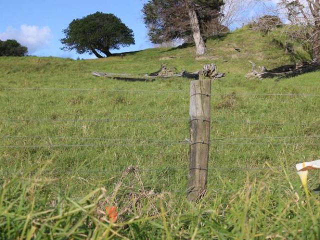 Lot 1 Motukiore Road, Horeke, Far North