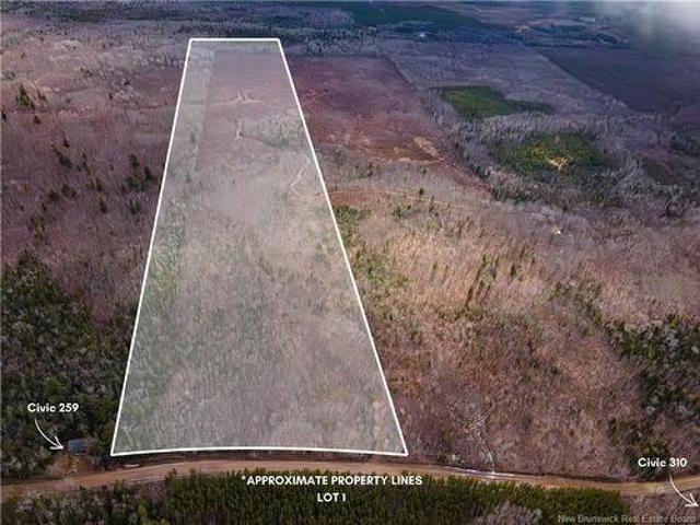 Lot 1 South Canaan Rd, South Canaan, NB, E4Z 3R7 vacant land for sale | Listing ID NB137598 | Royal LePage