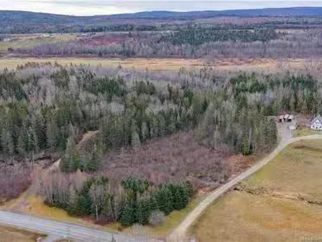 Lot 2019 1 Route 121, Bloomfield, NB, E5N 4V2 vacant land fo.