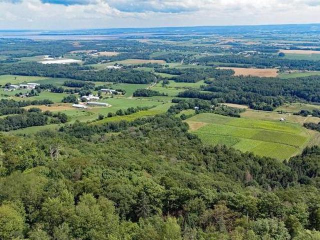 Lot 2023 Gospel Road, Arlington, NS, B0P 1H0 vacant land for sale | Listing ID 202611 | Royal LePage