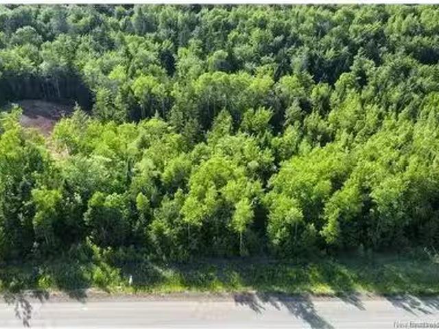 Lot 21 39 Orchard Ave, Irishtown, NB, E1H 0J5 vacant land fo.