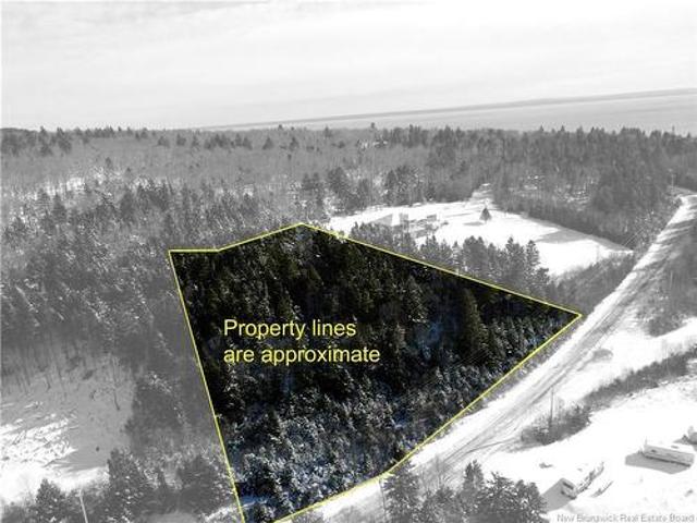 Lot 22 1 Forest Dr, Alma, NB, E4H 1G4 vacant land for sale | Listing ID NB113194 | Royal LePage