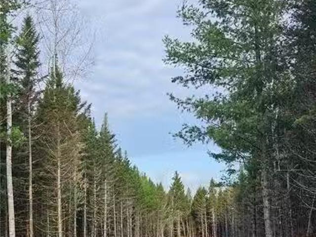 Lot 23 2 B De La Paix, Sainte Marie De Kent, NB, E4S 2L8 vac.