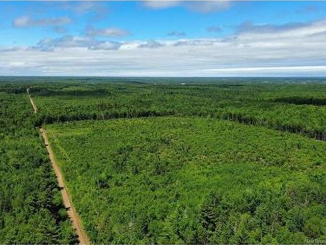 Lot 23 A Melanson Rd, Notre Dame, NB, E4V 1Z6 vacant land for sale | Listing ID NB139152 | Royal LePage
