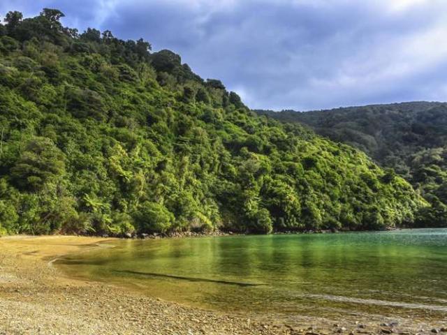 24 Tui Drive, Picton, Marlborough
