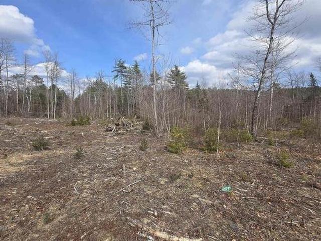 Lot 25 1 Upper Branch Road, Midville Branch, NS, B4V 4T1 vacant land for sale | Listing ID 202606 | Royal LePage
