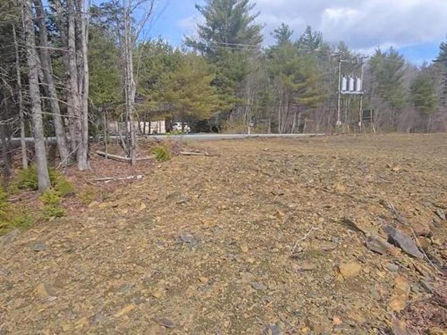Lot 25 4 Upper Branch Road, Midville Branch, NS, B4V 4T1 vacant land for sale | Listing ID 202606 | Royal LePage