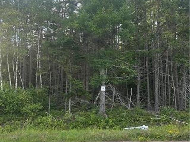 Lot 26 3 Upper Midland Rd, Springfield, NB, E5T 1Z7 vacant land for sale | Listing ID NB144307 | Royal LePage