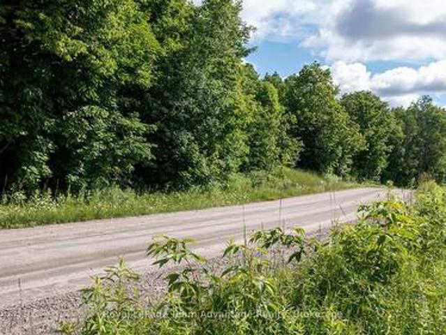 Lot 29 Farleys Road, Whitestone Dunchurch, ON, P0A 1G0 vacant land for sale | Listing ID X12085 | Royal LePage