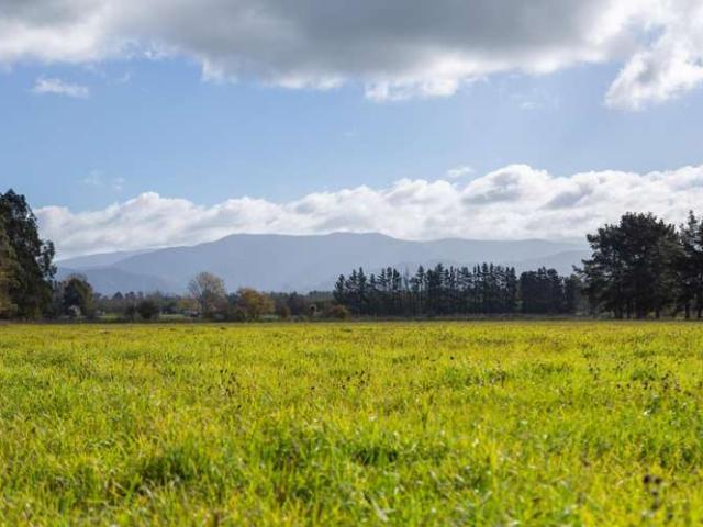 Lot 2, 122 Cross Line, Greytown, South Wairarapa