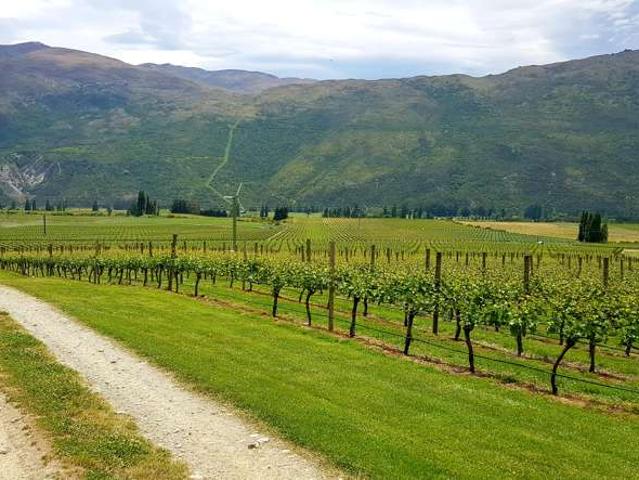 Lot 2/177 Gibbston Back Road, Gibbston, Queenstown