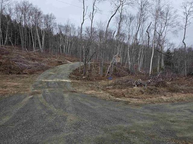 Lot 2 239 Sissiboo Road, Weymouth, NS, B0W 3T0 vacant land for sale | Listing ID 202605 | Royal LePage