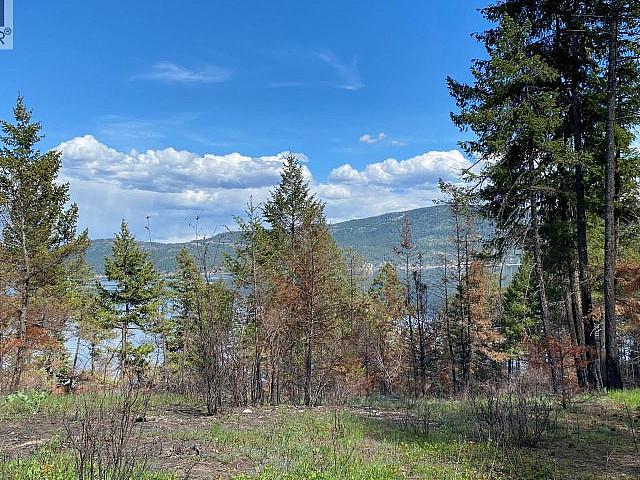 Lot 2 Westside Road Vernon, British Columbia