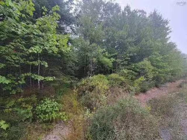 Lot 2 Wilson Road, Upper Rawdon, NS, B0N 2N0 vacant land for.