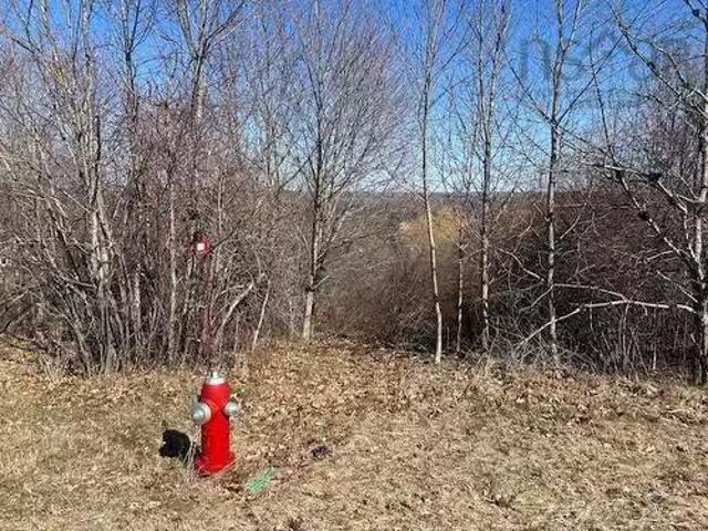 Lot 2 Alder Drive, Hantsport, NS, B0P 1P0 vacant land for sa.