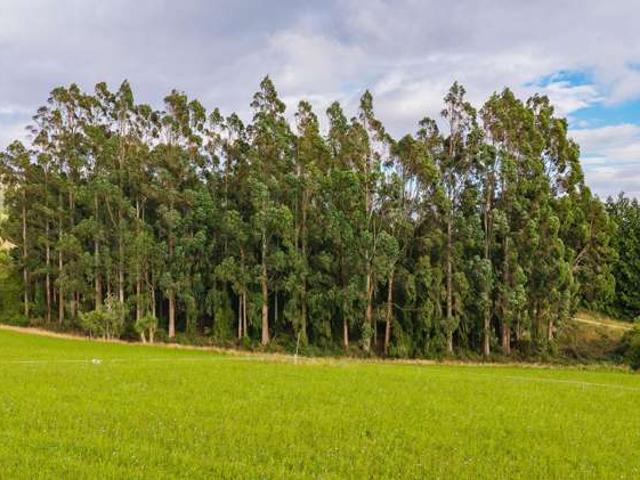 Lot 2 Brownleas Road, Waimate
