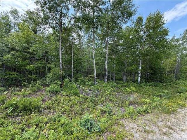 Lot 2 O'Keefe Rd, Miramichi, NB, E1V 6J3 vacant land for sale | Listing ID NB143946 | Royal LePage