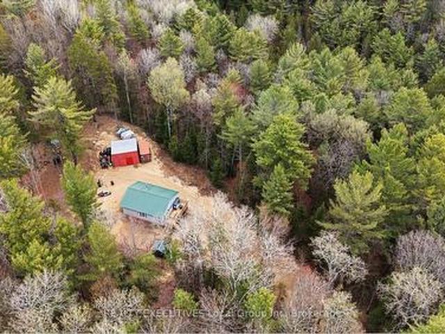 Lot 31 Pioneer Road, Bonfield, ON, P0H 2E0 house for sale | Listing ID X13526 | Royal LePage