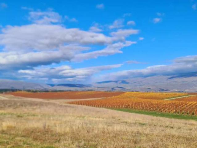Lot 35 McArthur Road, Alexandra, Central Otago