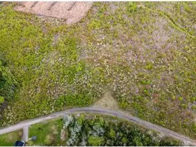Lot 37 Davidson Rd, Anagance, NB, E4Z 1E1 vacant land for sa.