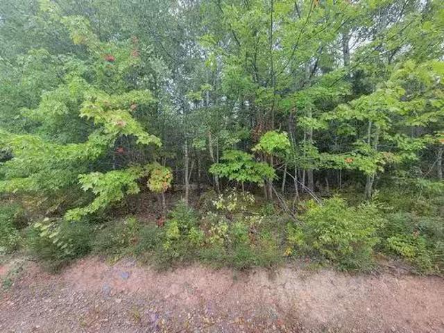 Lot 4 Wilson Drive, Upper Rawdon, NS, B0N 2N0 vacant land fo.