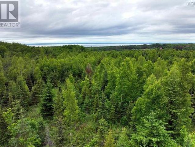Lot 4 Baxters Harbour Road, Baxters Harbour, NS, B0P 1H0 vacant land for sale | Listing ID 202528 | Royal LePage
