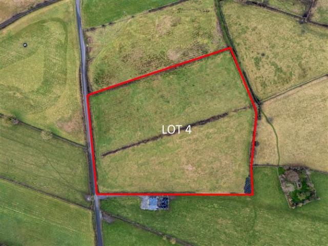 Lot 4 c. 9.68 Acres, Lemanaghan, Ballycumber, Co. Offaly DNG Kelly Duncan 4923 MyHome. Ie Residential